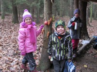 /album/a20-12-vanocni-les/vanocni-les-3-jpg/